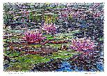 Water Lillies aka-NFT